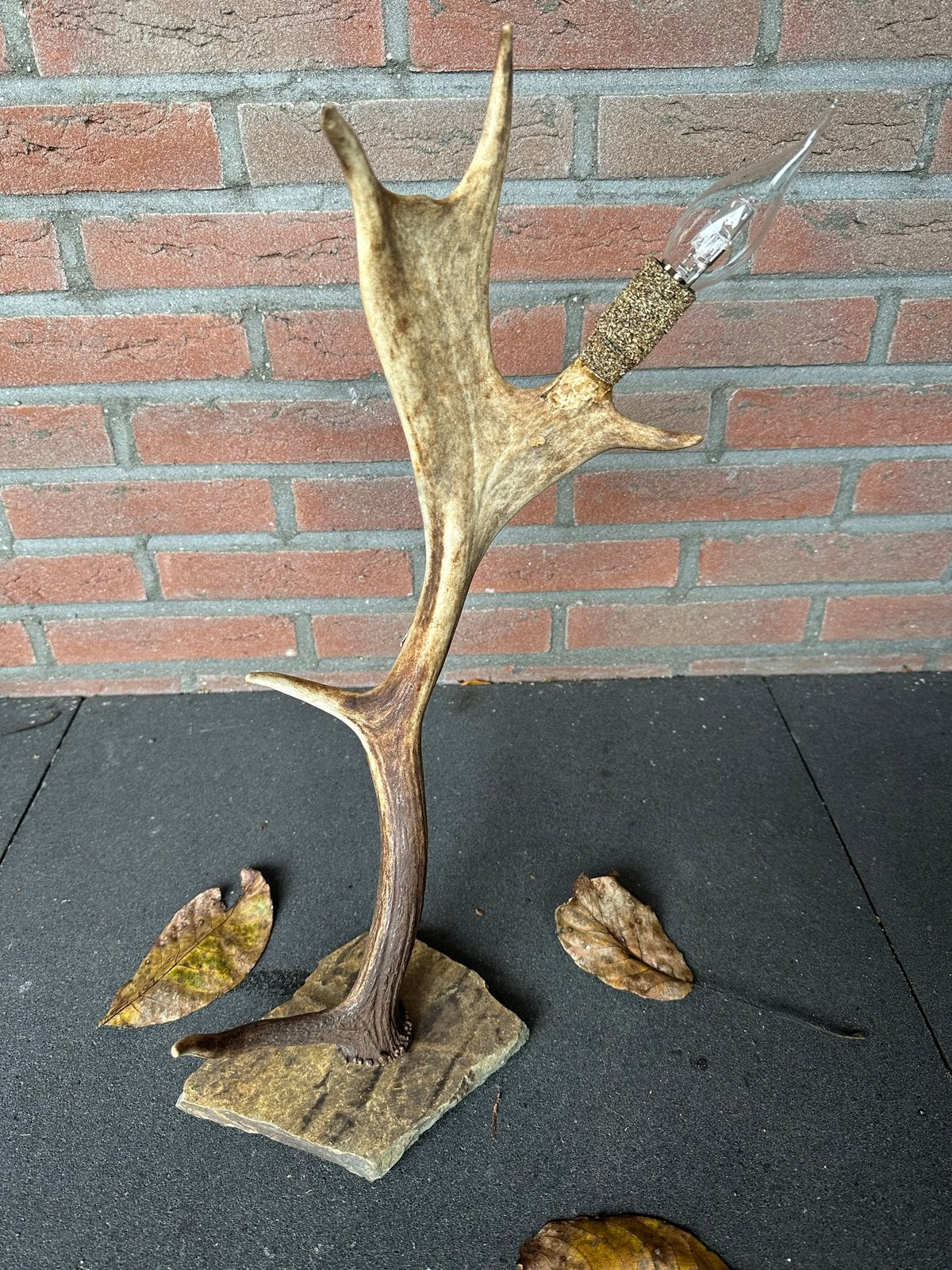 Geweilamp.schemerlamp.geweien.edelhert.damhert.tafellamp., Ophalen of Verzenden, Nieuw, 75 cm of meer
