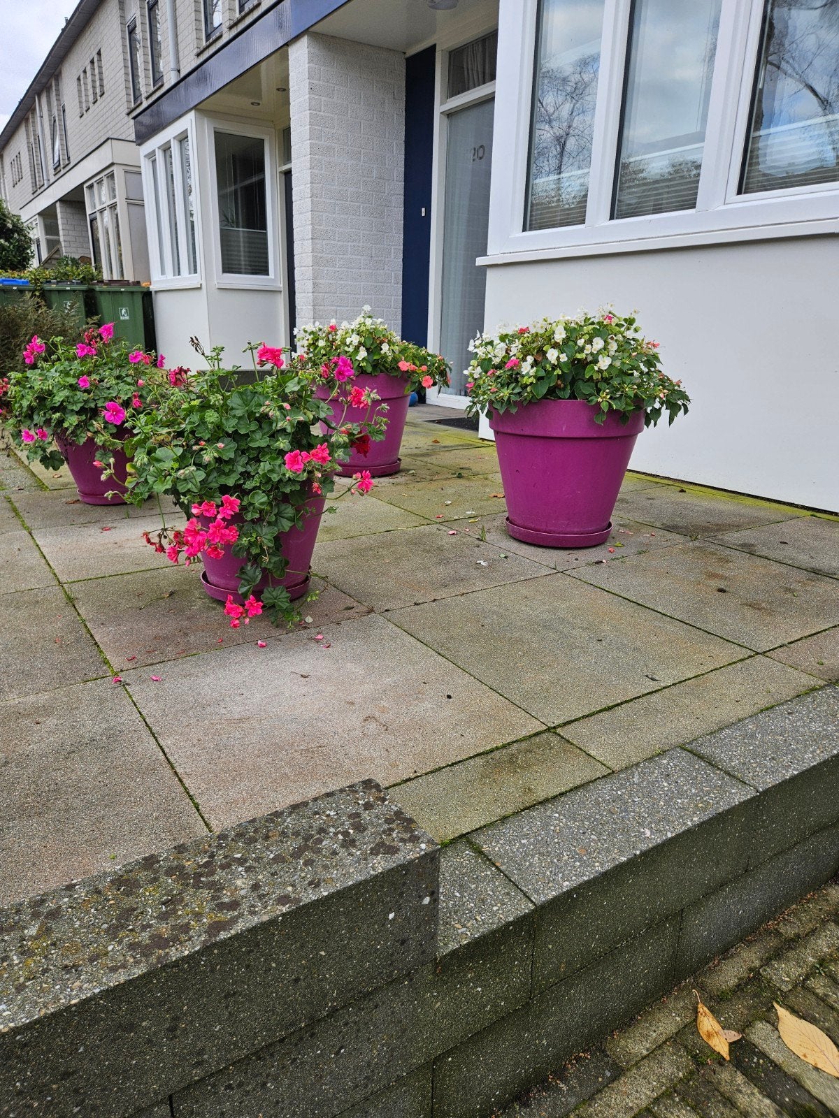 elho buitenpotten, fuchsia, Ophalen, Kunststof, Gebruikt, Rond