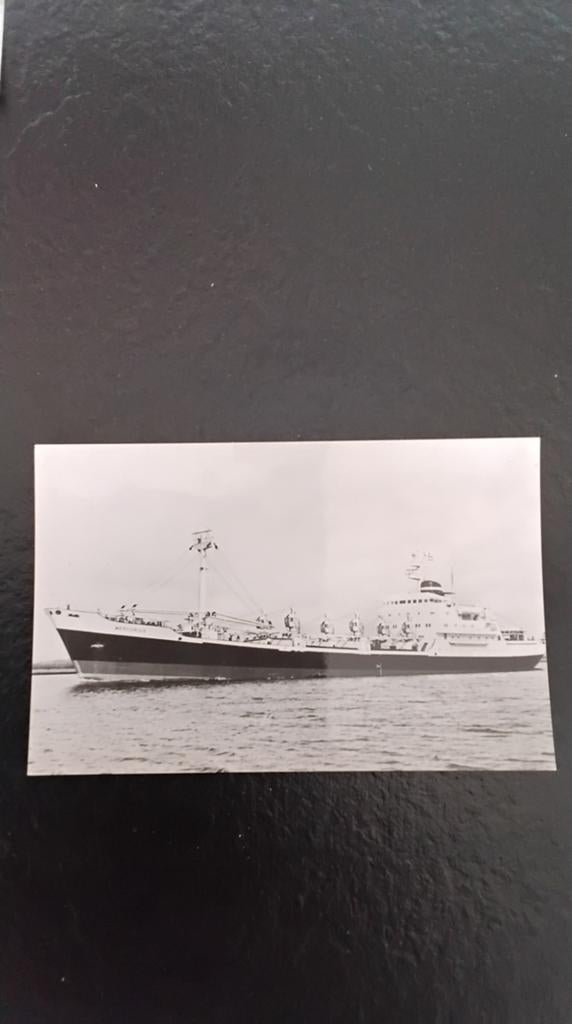 foto ms MERCURIUS - Koninklijke Nederlandse Stoomboot mij, Gebruikt, Foto, Ophalen of Verzenden, 1940 tot 1960
