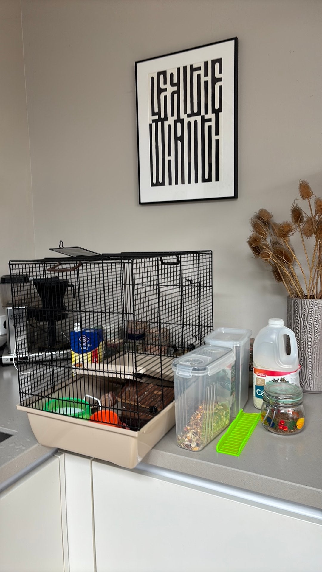 Hanster kooi en spullen, Kooi, Minder dan 75 cm, Zo goed als nieuw, Hamster