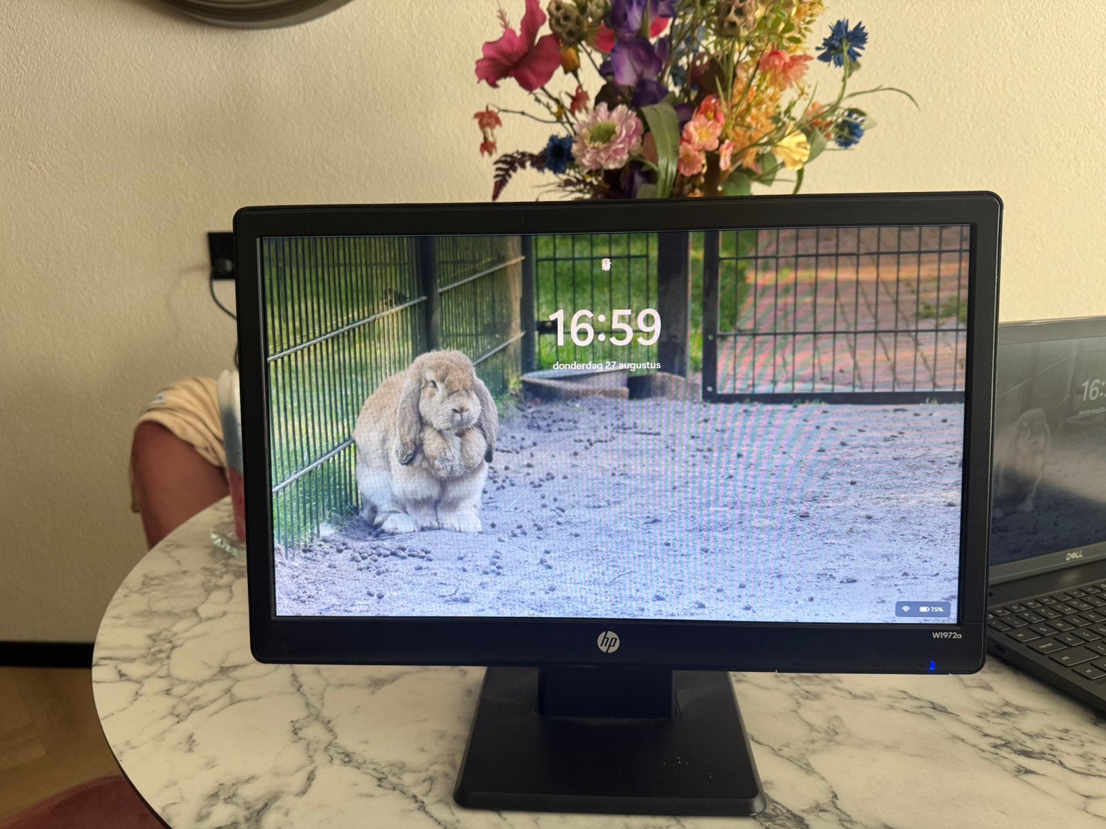 HP W1972a Monitor, Computers en Software, Monitoren, Ophalen, Hoofdtelefoonaansluiting, 18,5, Onbekend