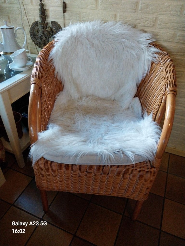kunstof rieten stoelen, met inlegkussen, en losse bekleding, Ophalen, Gebruikt, Twee, Bruin