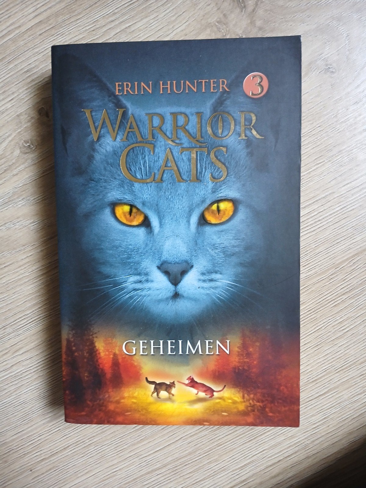 Warrior Cats 3: Geheimen - Erin Hunter, Ophalen of Verzenden, Zo goed als nieuw, Erin Hunter, Europa overig