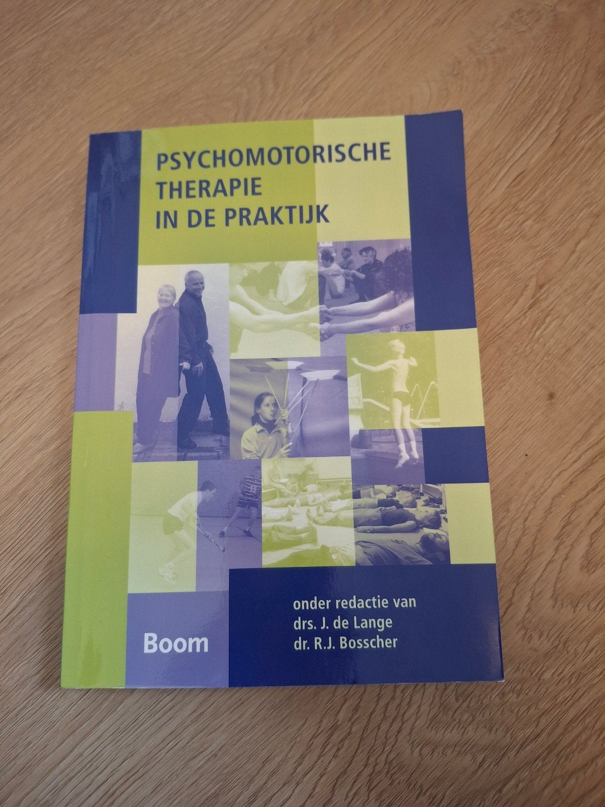 Psychomotorische Therapie in de Praktijk - Studieboek, Boeken, Gelezen, Gamma, Drs. J. de Lange, dr. R.J. Bosscher, HBO