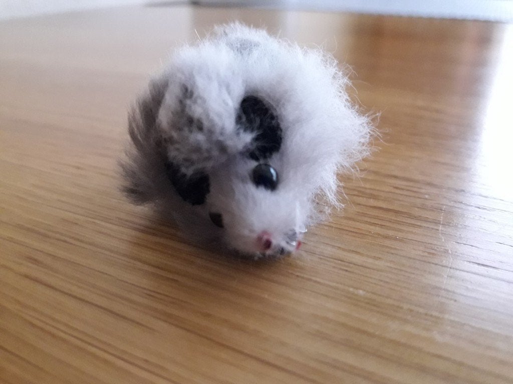 broche met muis, Ophalen of Verzenden, Nieuw, Jongen of Meisje