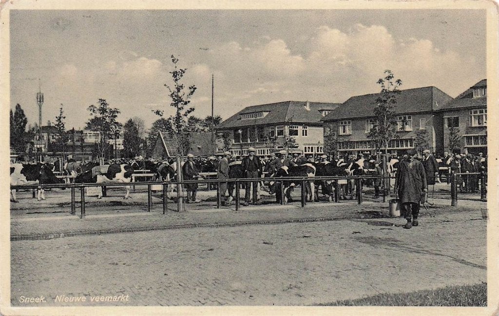 703-340-041 Sneek Nieuwe Veemarkt, Verzamelen, Ophalen of Verzenden, Voor 1920, Friesland
