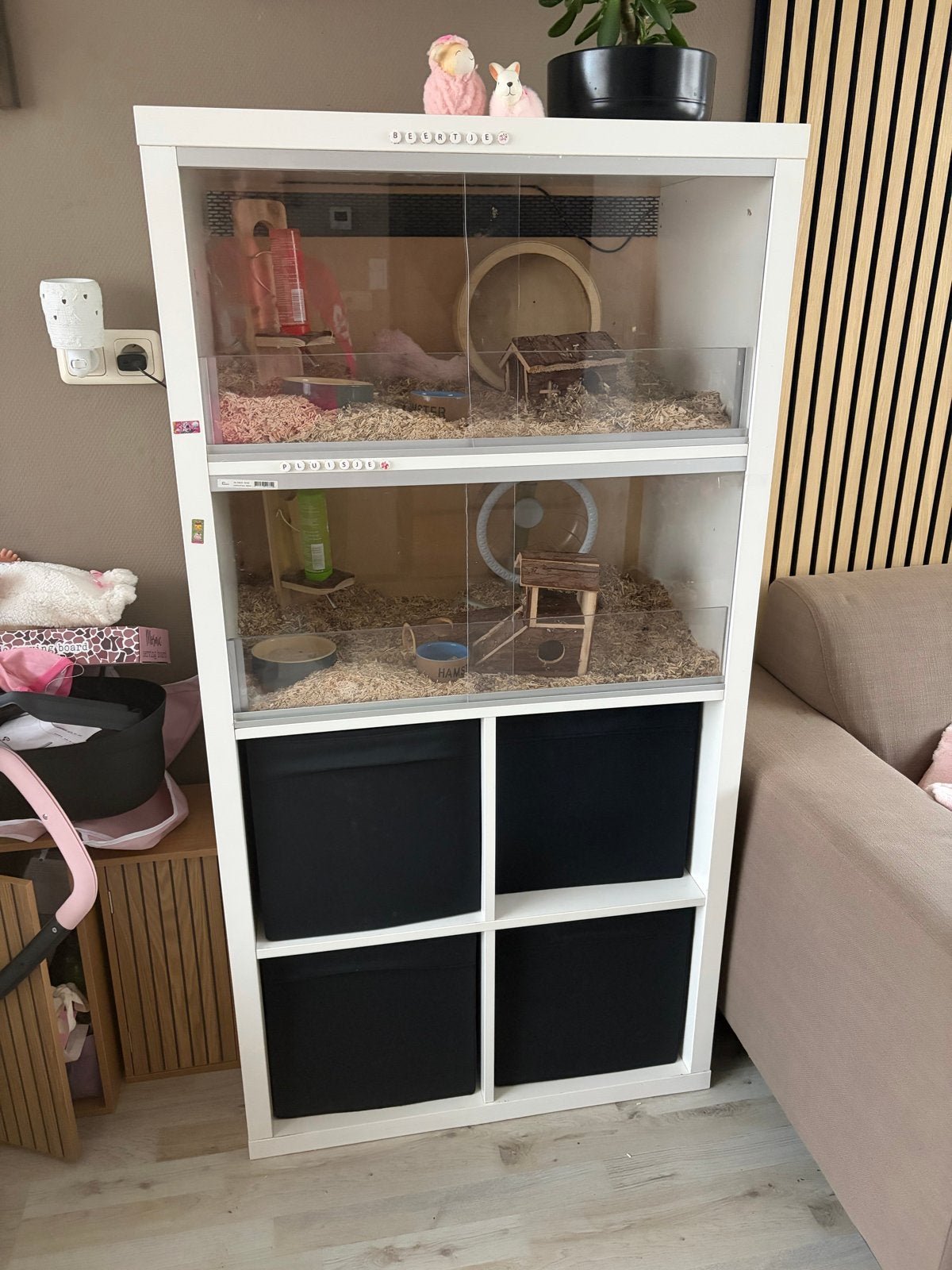 Hamsterkooi met hamster, Dieren en Toebehoren, Hamster, Mannelijk, Mei, Tam