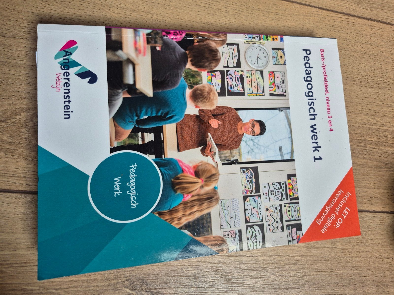 Pedagogisch werk 1, Boeken, Ophalen of Verzenden, Zo goed als nieuw, Overige niveaus