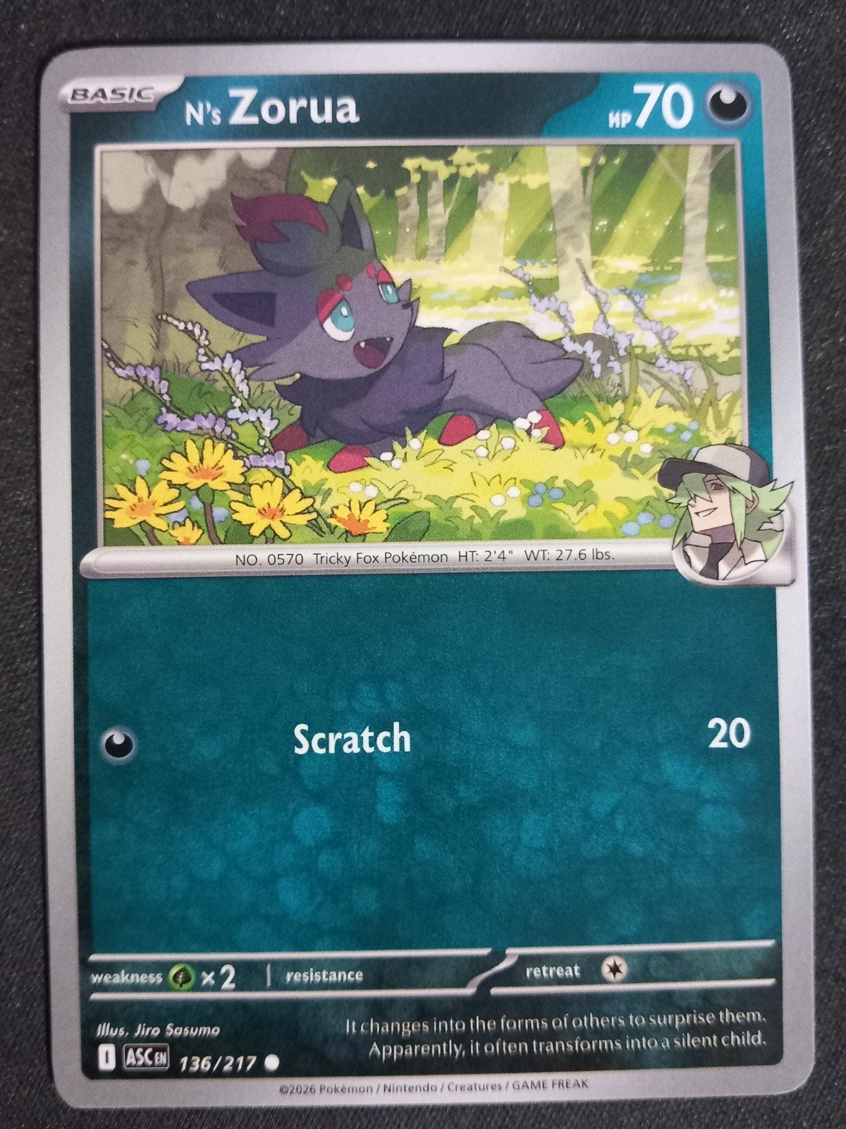 Pokemon N's Zorua 136/217 Ascended Heroes Excellent, Verzenden, Zo goed als nieuw, Losse kaart