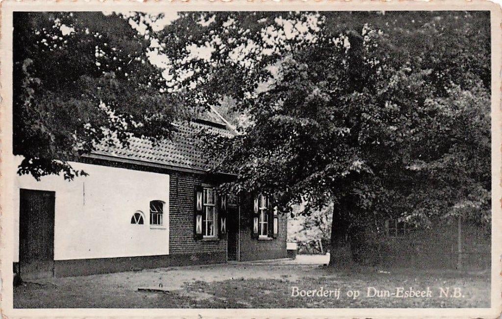AM046 Dun- Esbeek boerderij jaren 40/50, Verzenden, 1940 tot 1960, Ongelopen, Noord-Brabant