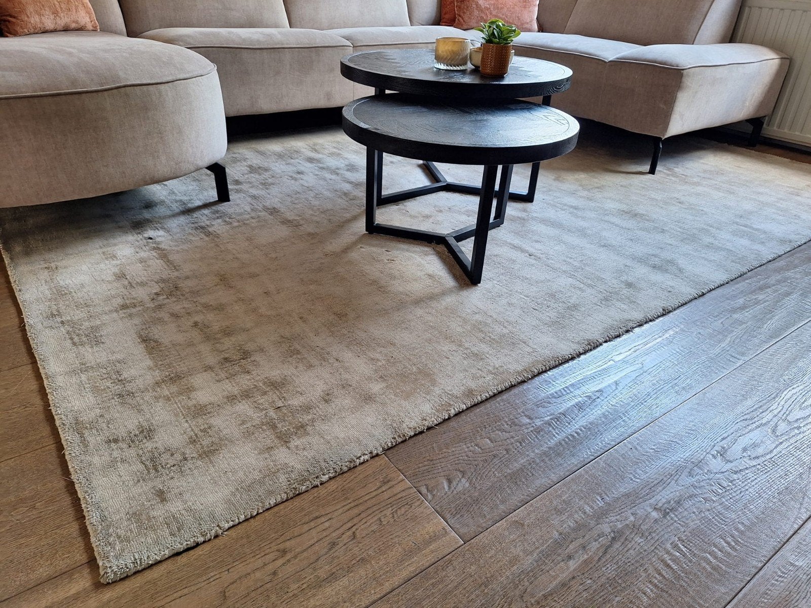 Crème/beige vloerkleed 200 x 300 cm, Ophalen, 200 cm of meer, 200 cm of meer, Beige