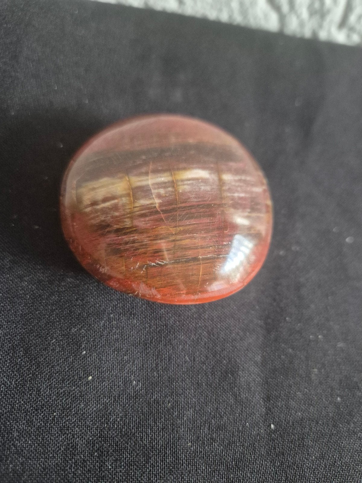 Versteend hout - 99 gram, Ophalen, Nieuw