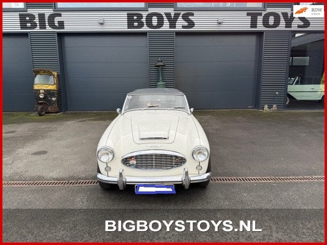 Austin HEALEY 100/6 (BN4) Overdrive, Auto's, Oldtimers, Overige carrosserieën, 4 stoelen, Wit, Leder