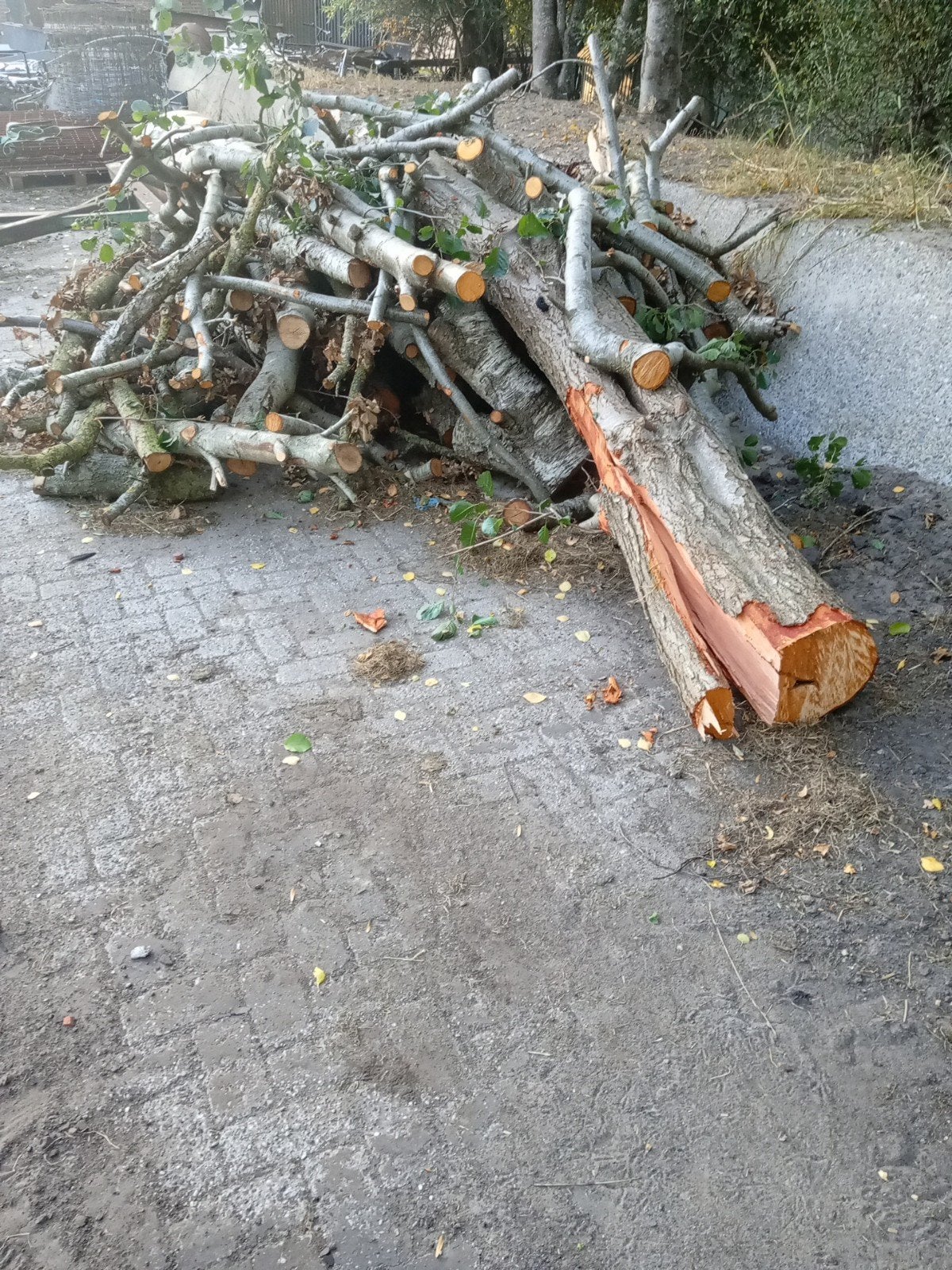 openhaardhout stamhout kachel Hout stookhout, Tuin en Terras, Haardhout, Minder dan 3 m³, Ophalen