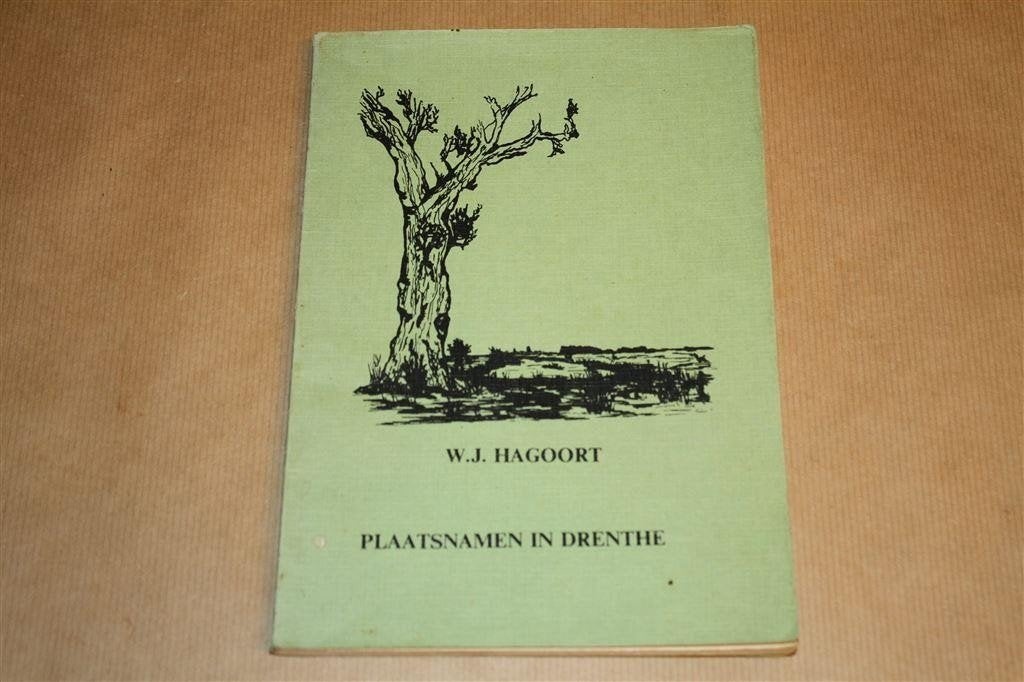 Plaatsnamen in Drenthe. Hagoort, 1978., Ophalen of Verzenden, Gelezen