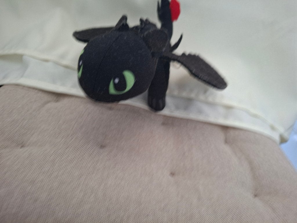 Toothless Knuffel, Verzenden, Overige typen