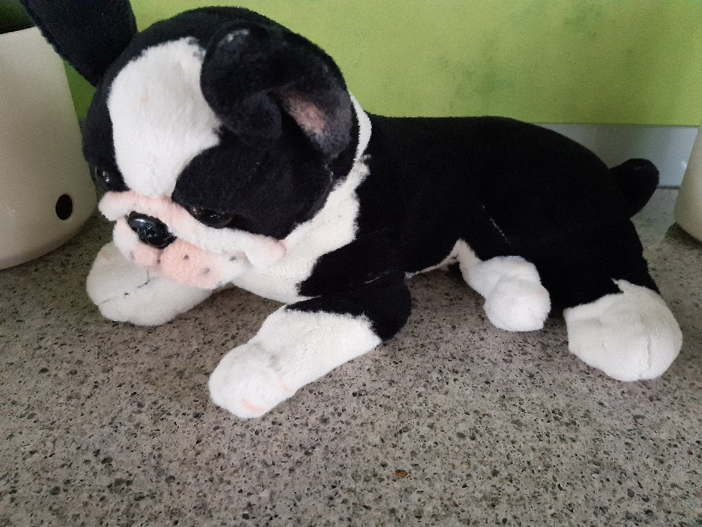 KNUFFEL, BULL DOG HOND, GAMBLE PLEASURE  AFM. 38 CM, Ophalen of Verzenden, Gebruikt, Hond