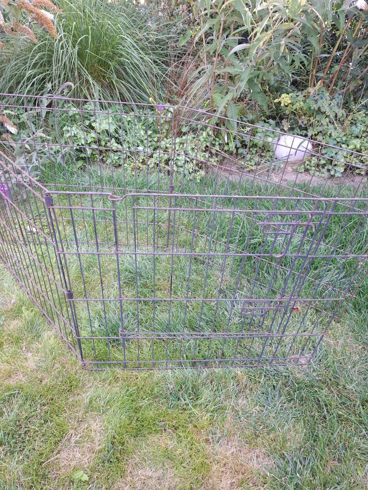 gratis 24 stuks konijnen ren 60x70, Ophalen, 60 tot 90 cm, Konijn, Ren
