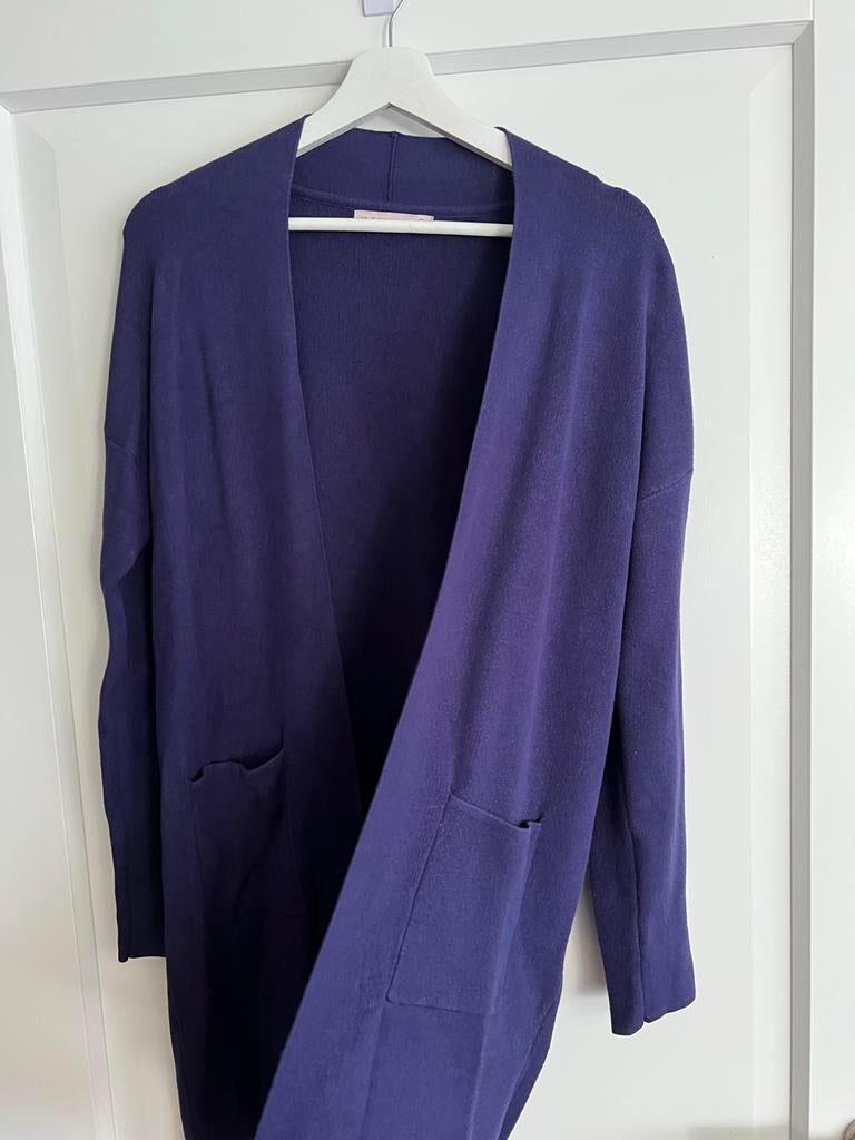 Paars half lang vest Studio Anneloes maat S, Verzenden, Gedragen, Maat 36 (S), Paars