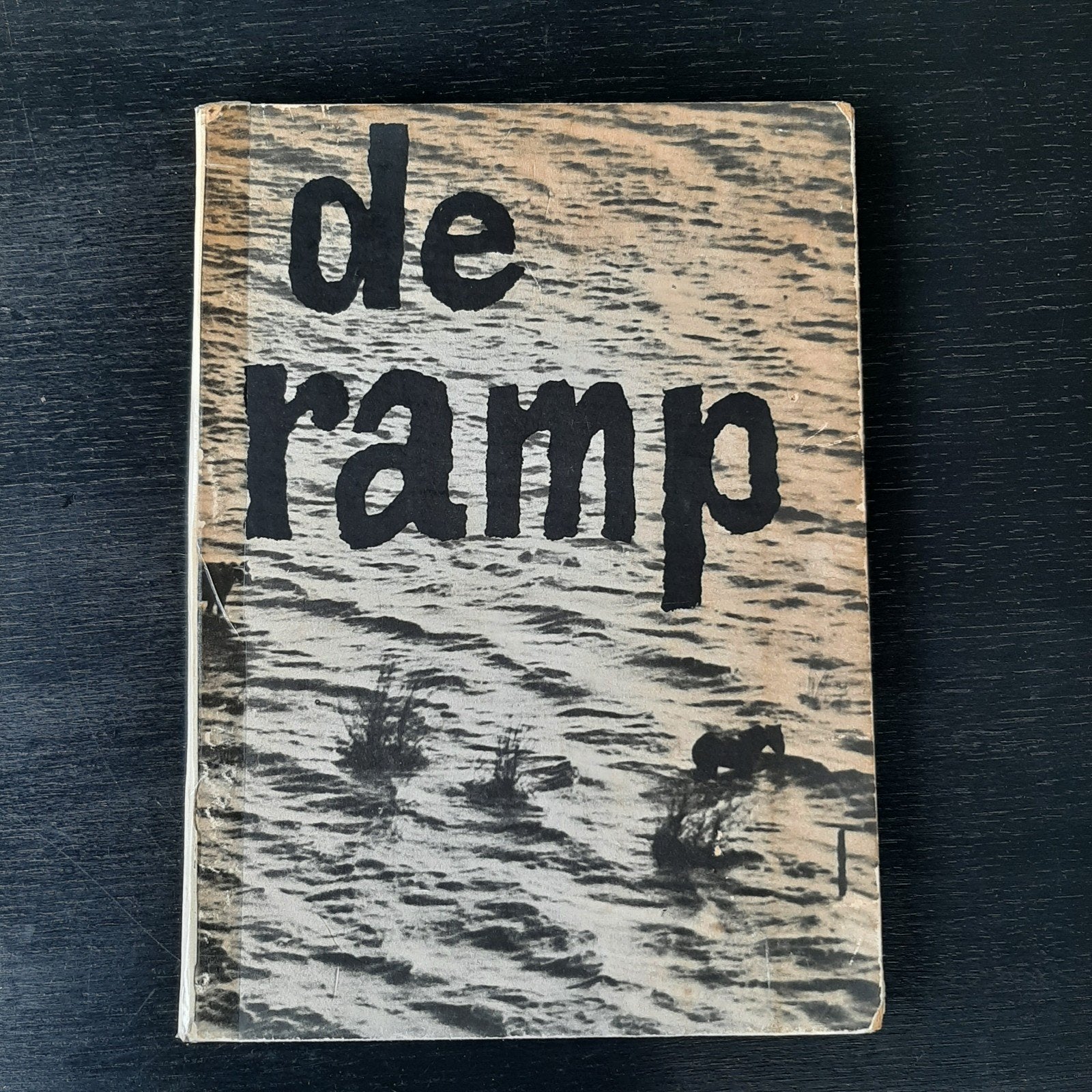 boek De Ramp 1953, Boeken, Verzenden, Gelezen, Overige onderwerpen
