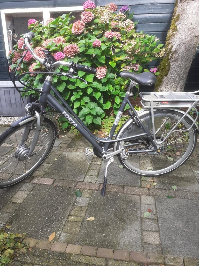 Forza E-bike, Gebruikt, 50 km per accu of meer, 55 tot 59 cm, Ophalen