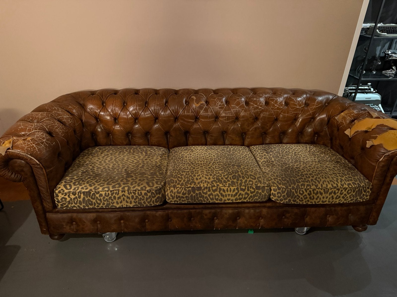 Chesterfield bank met panterprint zitting, Ophalen, Zo goed als nieuw, Riet