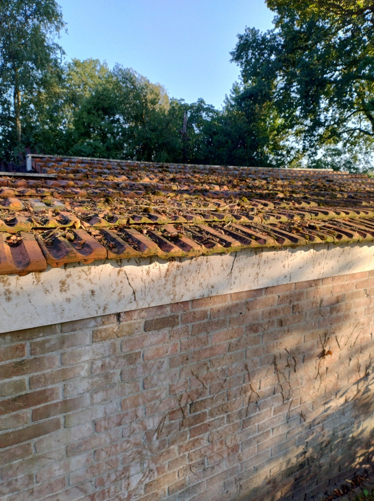 Oud Hollandse dakpannen van J.Kurstjens, Doe-het-zelf en Verbouw, Ophalen, Gebruikt, Steen of Klei, 15 m² of meer