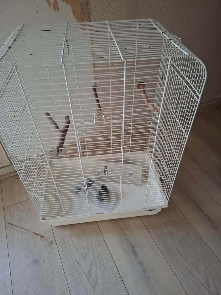 Vogelkooi, Ophalen, Metaal, Vogelkooi