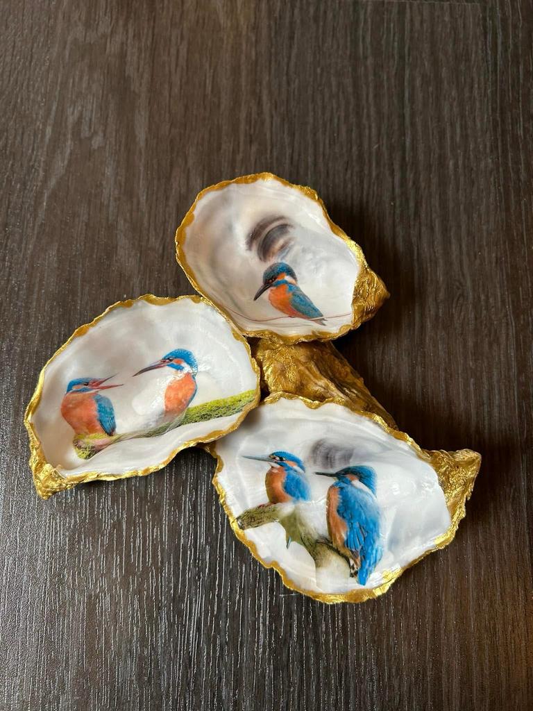 Decoratieve Schelpen met IJsvogel Afbeeldingen, Verzamelen, Ophalen of Verzenden, Schelp(en)