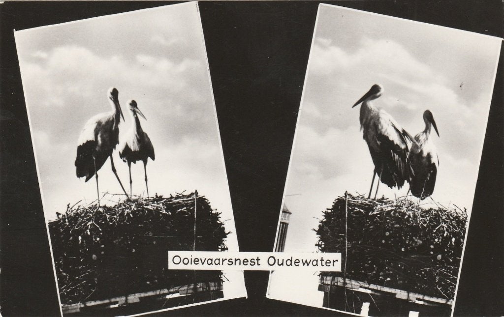 OUDEWATER Ooievaarsnest (kleiner formaat 14 x 8,5 cm), Verzenden, 1960 tot 1980, Ongelopen, Utrecht