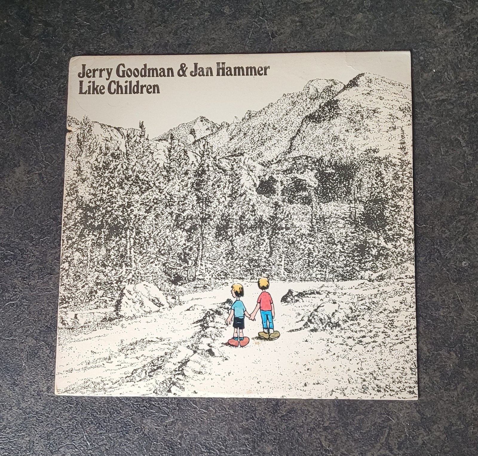 Jerry Goodman & Jan Hammer  (1), Cd's en Dvd's, Ophalen of Verzenden, LP