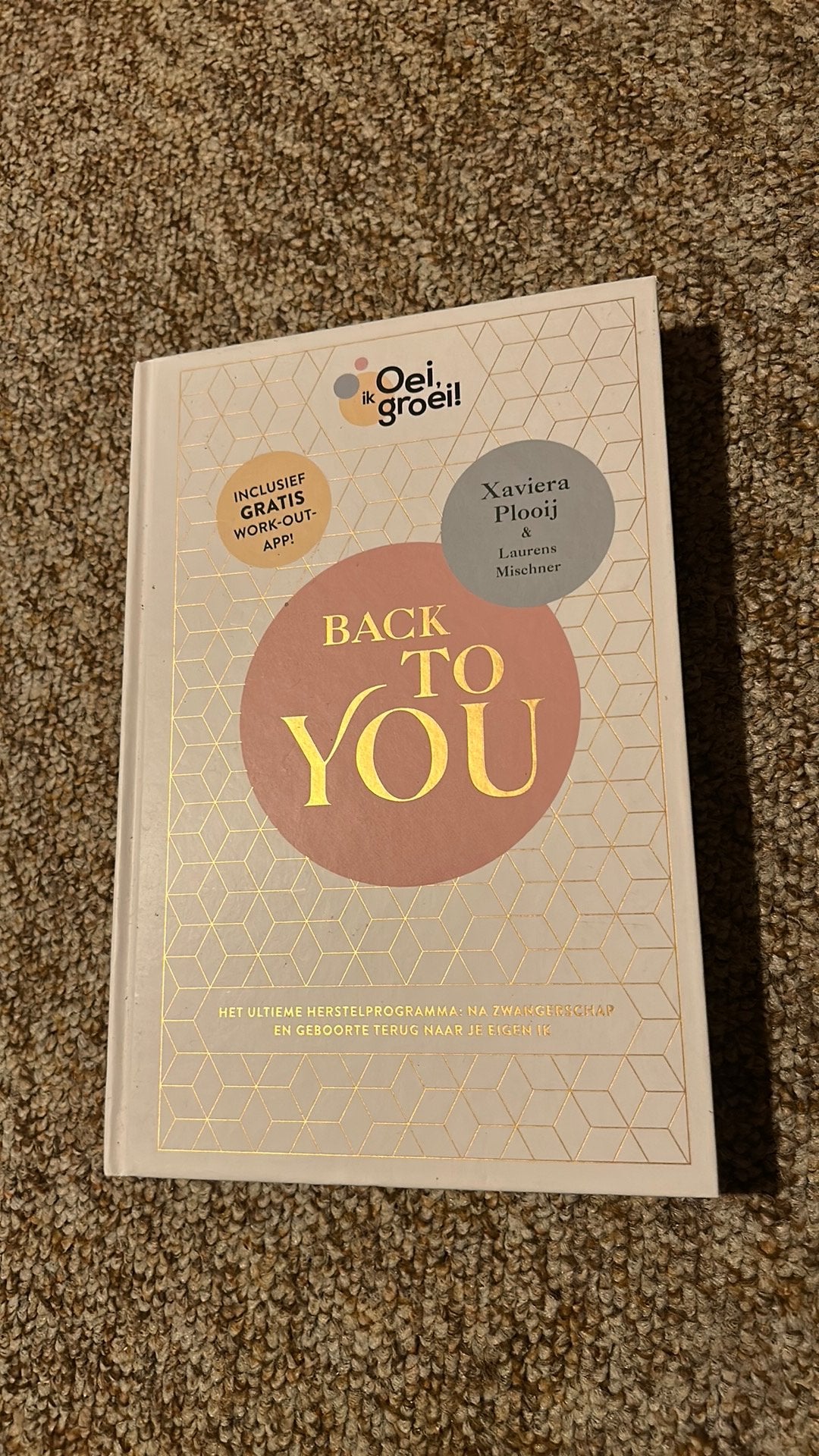 Laurens Mischner - Back To You, Boeken, Zwangerschap en Bevalling, Zo goed als nieuw, Laurens Mischner; Xaviera Plooij, Ophalen of Verzenden