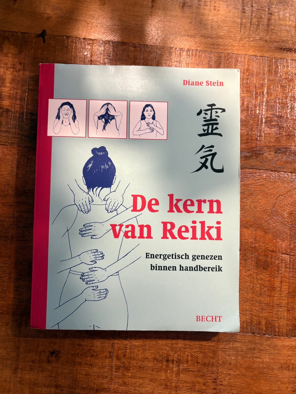 De kern van Reiki - Diane Stein, Diane Stein, Ophalen of Verzenden, Zo goed als nieuw, Instructieboek