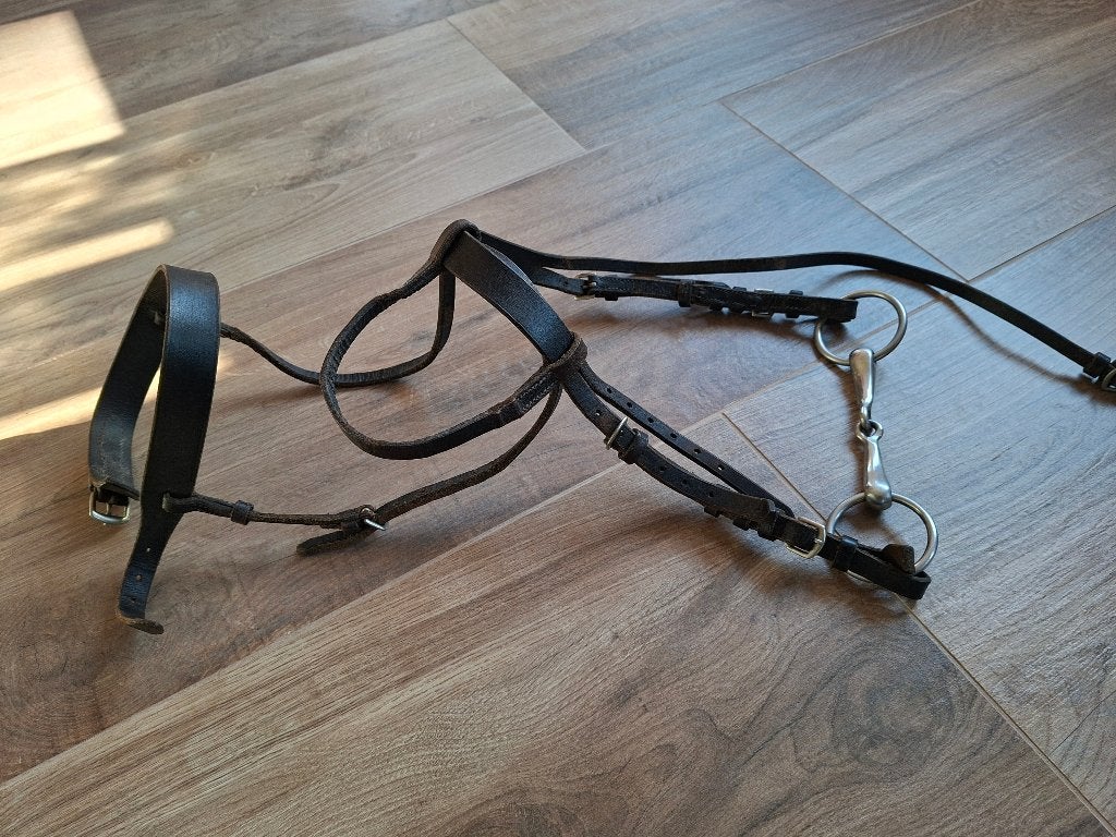 Ponyhalster zwart leer, Ophalen, Gebruikt, Overige disciplines, Verstelbaar