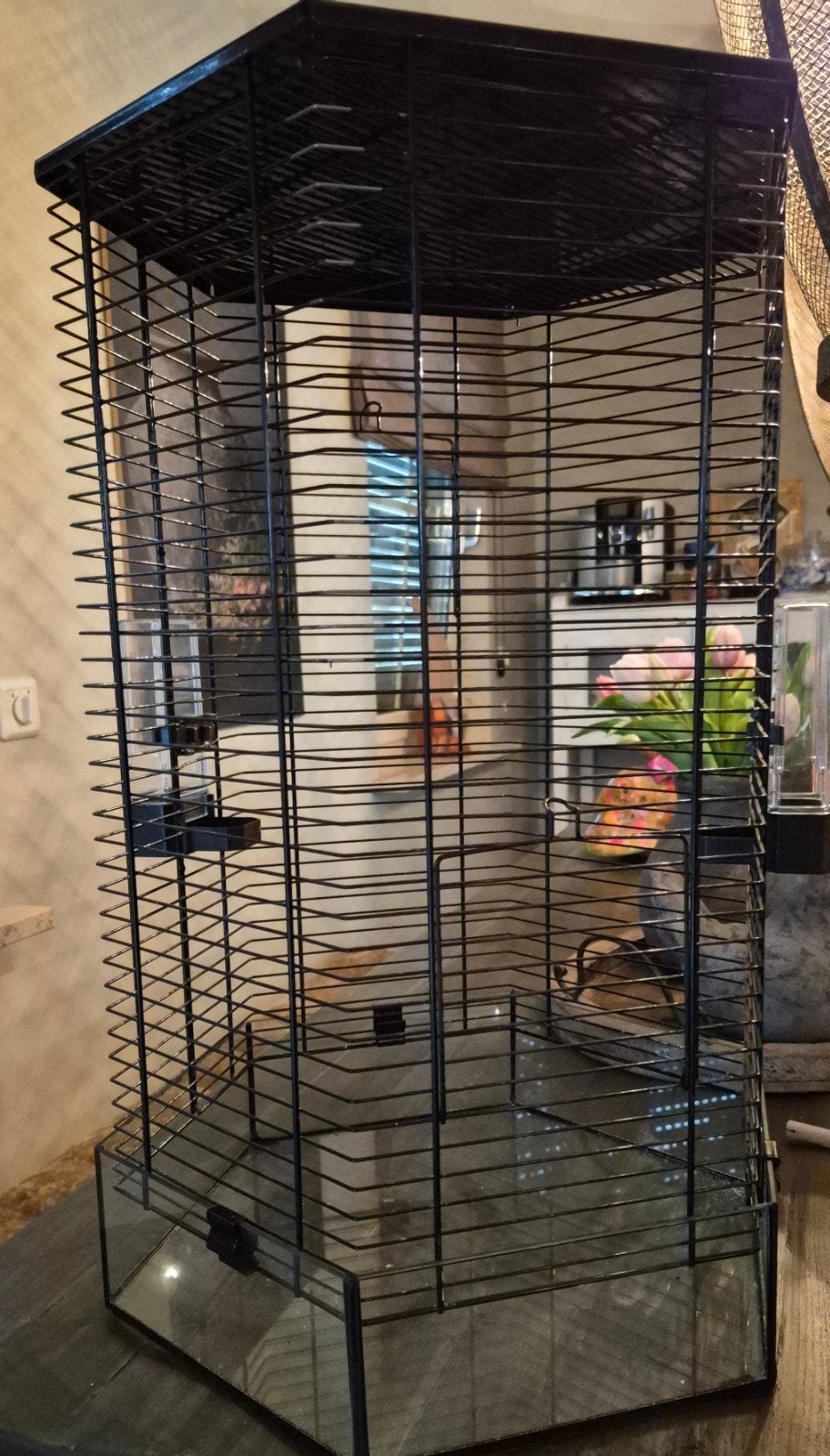 Vogelkooi met glazen onderbak, Ophalen, Gebruikt, Metaal, Vogelkooi