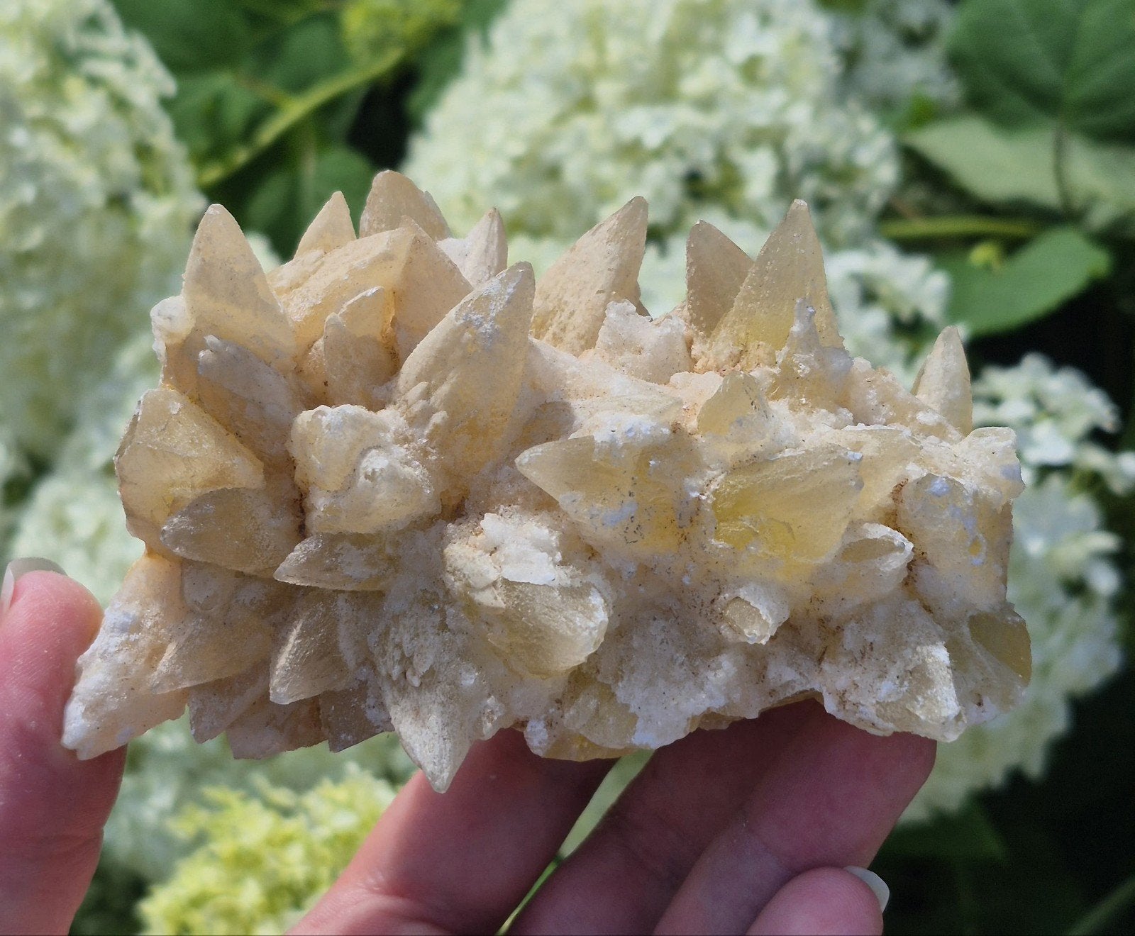 Dogtooth calciet, Ophalen of Verzenden