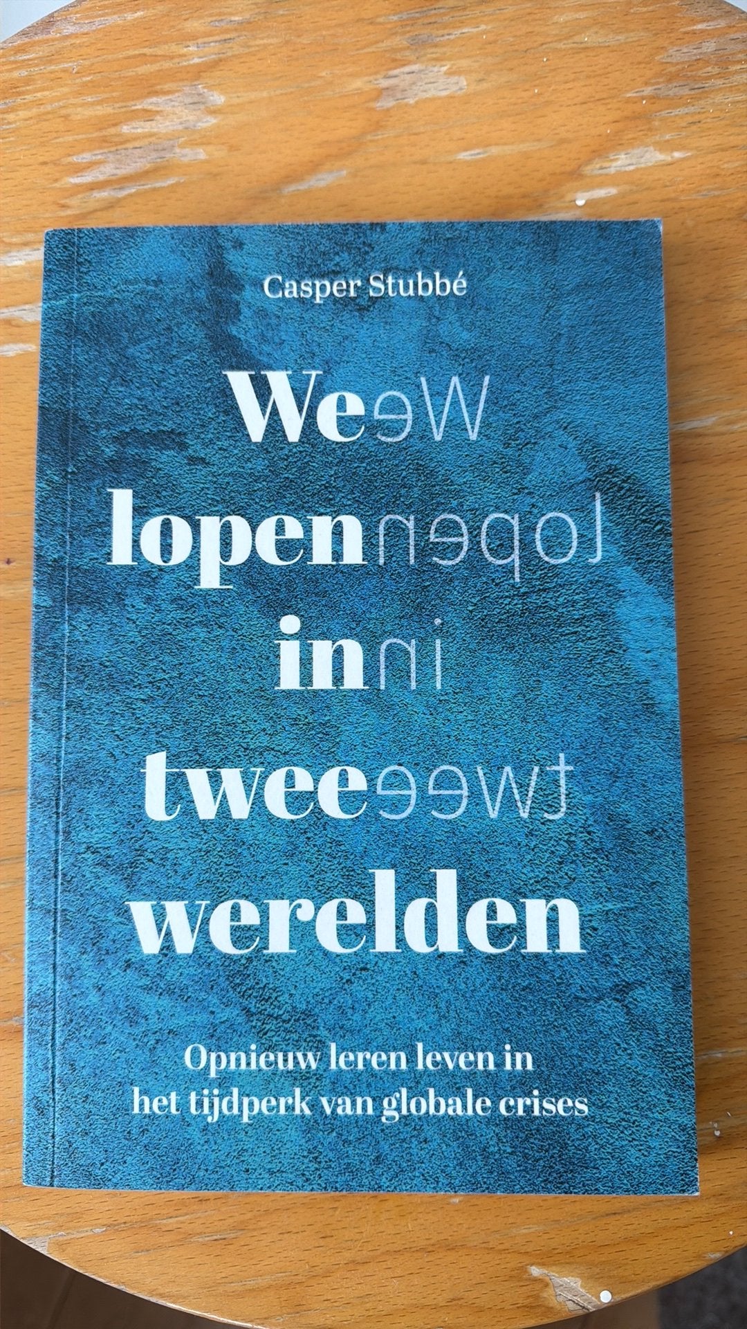 Casper Stubbé - We lopen in twee werelden, Ophalen of Verzenden, Zo goed als nieuw, Casper Stubbé
