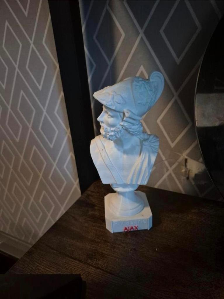 Ajax 3D Borstbeeld - Uniek Decoratiestuk, Ophalen of Verzenden
