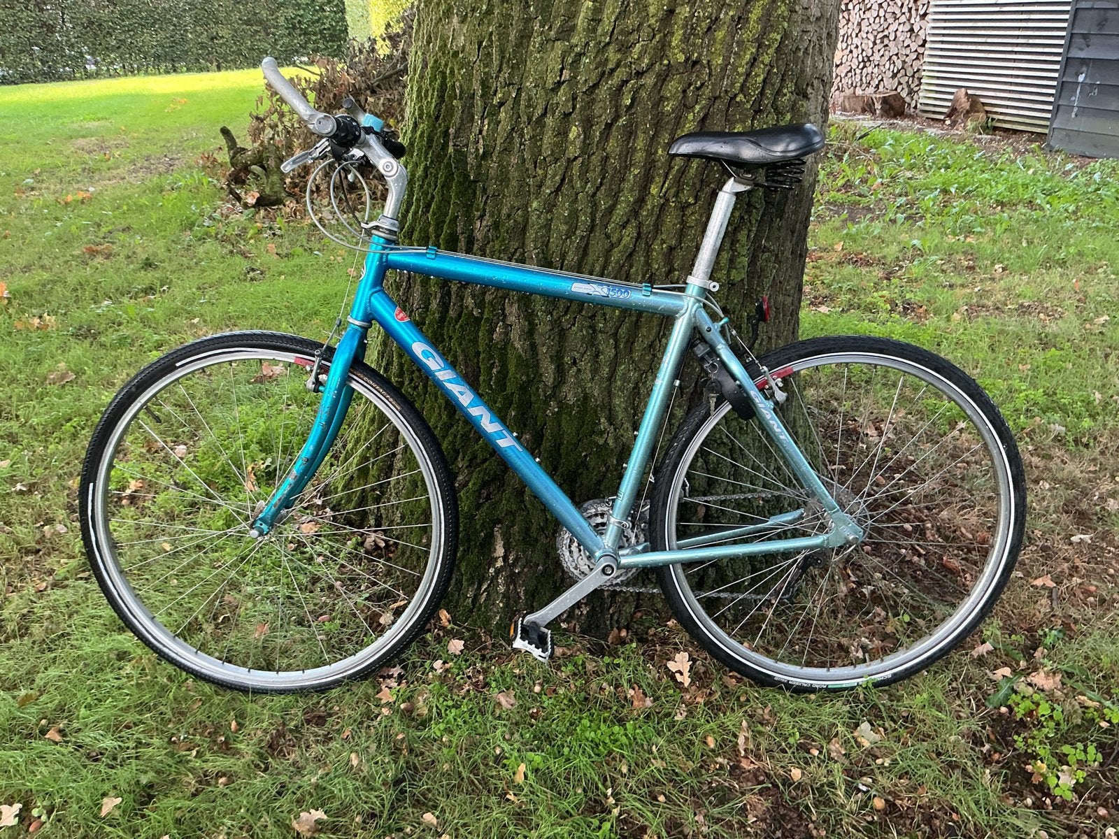 Giant Heren Mountainbike 62 inch, 61 tot 65 cm, Ophalen, Gebruikt, Giant
