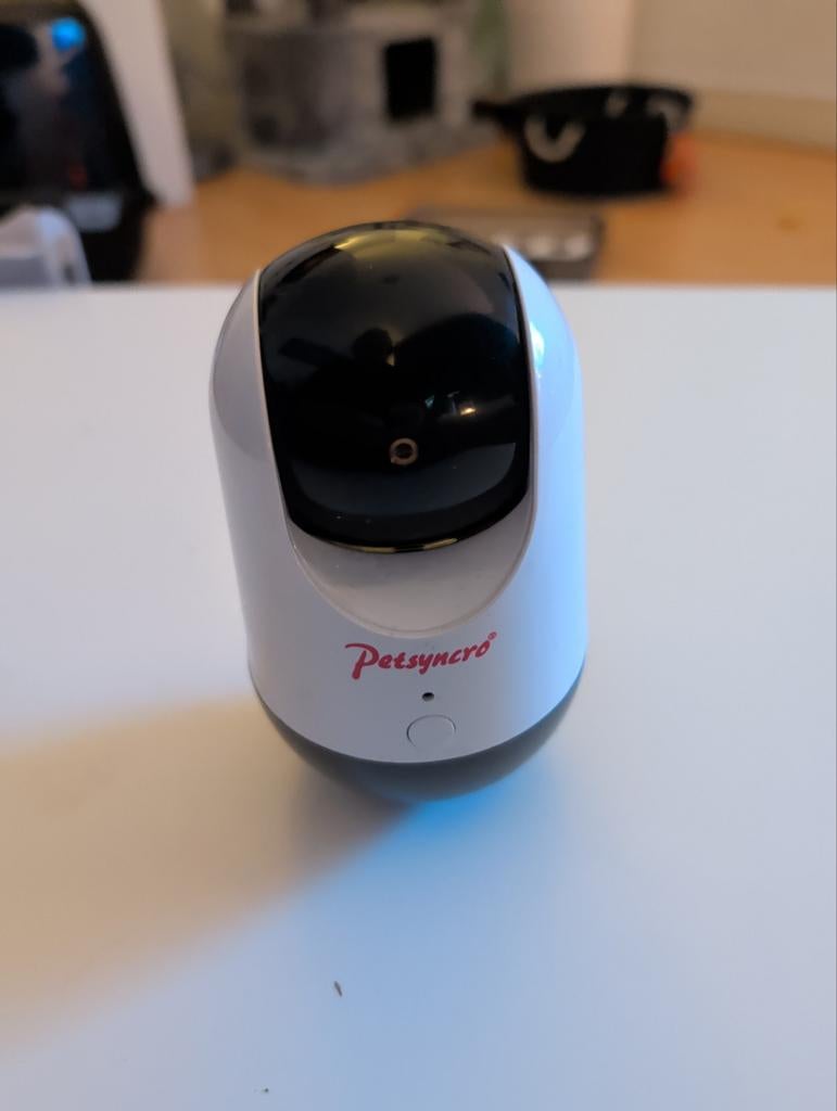 Petsyncro PlayMe Cat Toy with Laser, Dieren en Toebehoren, Kattenspeelgoed, Zo goed als nieuw, Laserspeelgoed, Ophalen