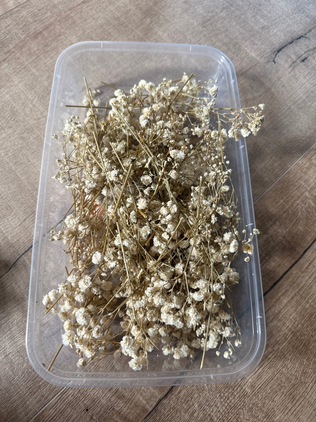 Gedroogd gipskruid voor bruiloftsdecoratie, Ophalen of Verzenden, Natuurlijk materiaal, Wit, Landelijk
