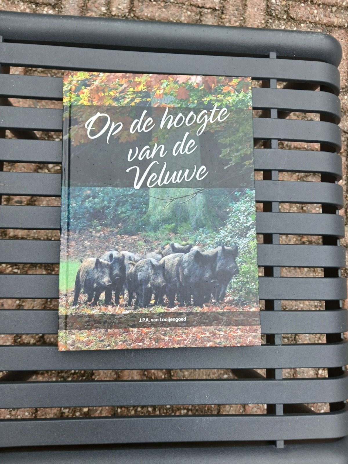 Op de hoogte van de Veluwe - J.P.A. van Looijengoed, Ophalen of Verzenden, Zo goed als nieuw, J.P.A. van Looijengoed, Nederland