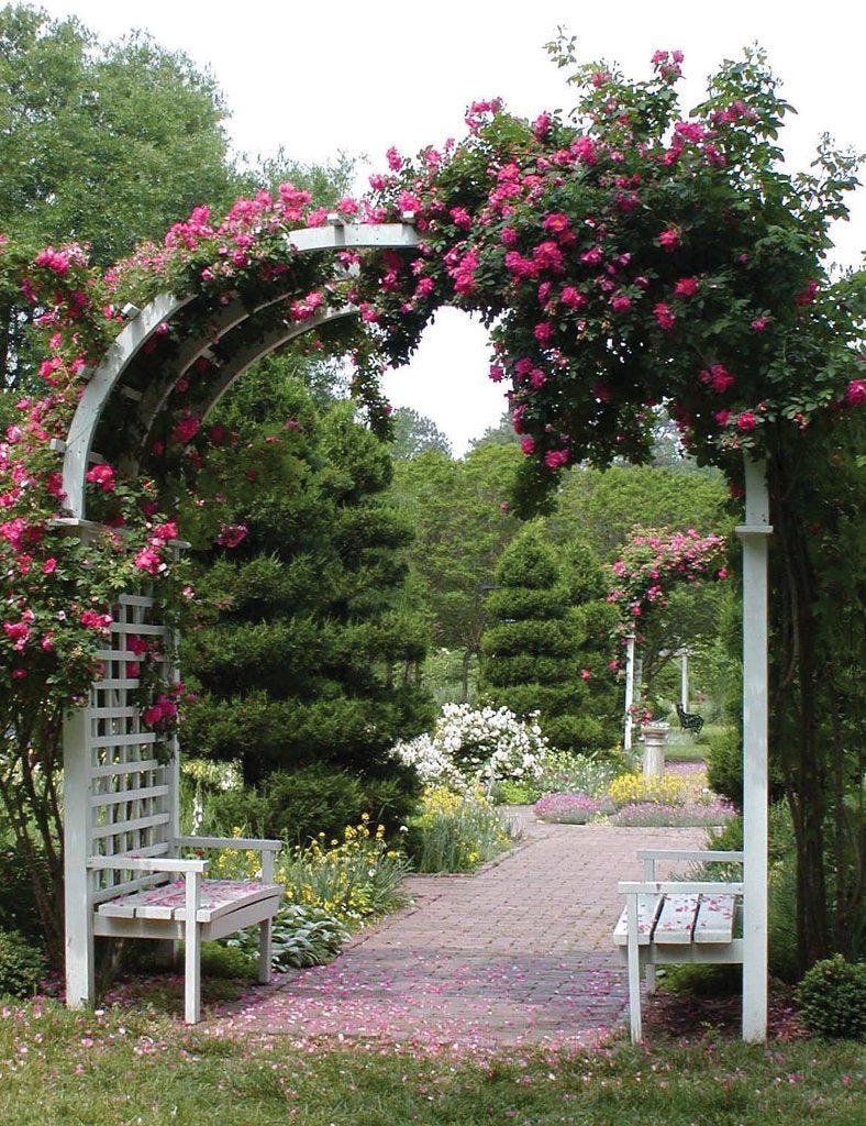 Tuinposter 200 x 154 cm (h x br.), Verzenden, Nieuw