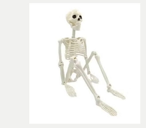 Halloween Skelet Decoratie – Hangend & Beweegbaar, Ophalen of Verzenden, Nieuw, Versiering, Halloween of Griezel