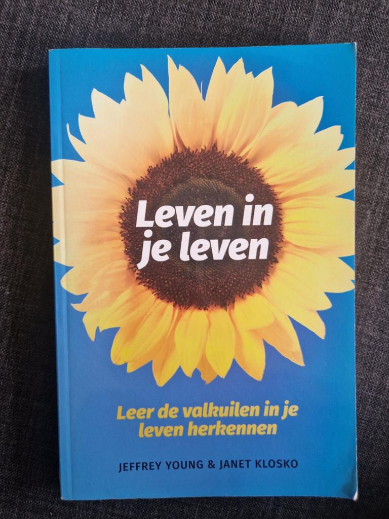 Leven in je leven - J. Young, Boeken, Ophalen of Verzenden, Gelezen, J. Young; J. Klosko