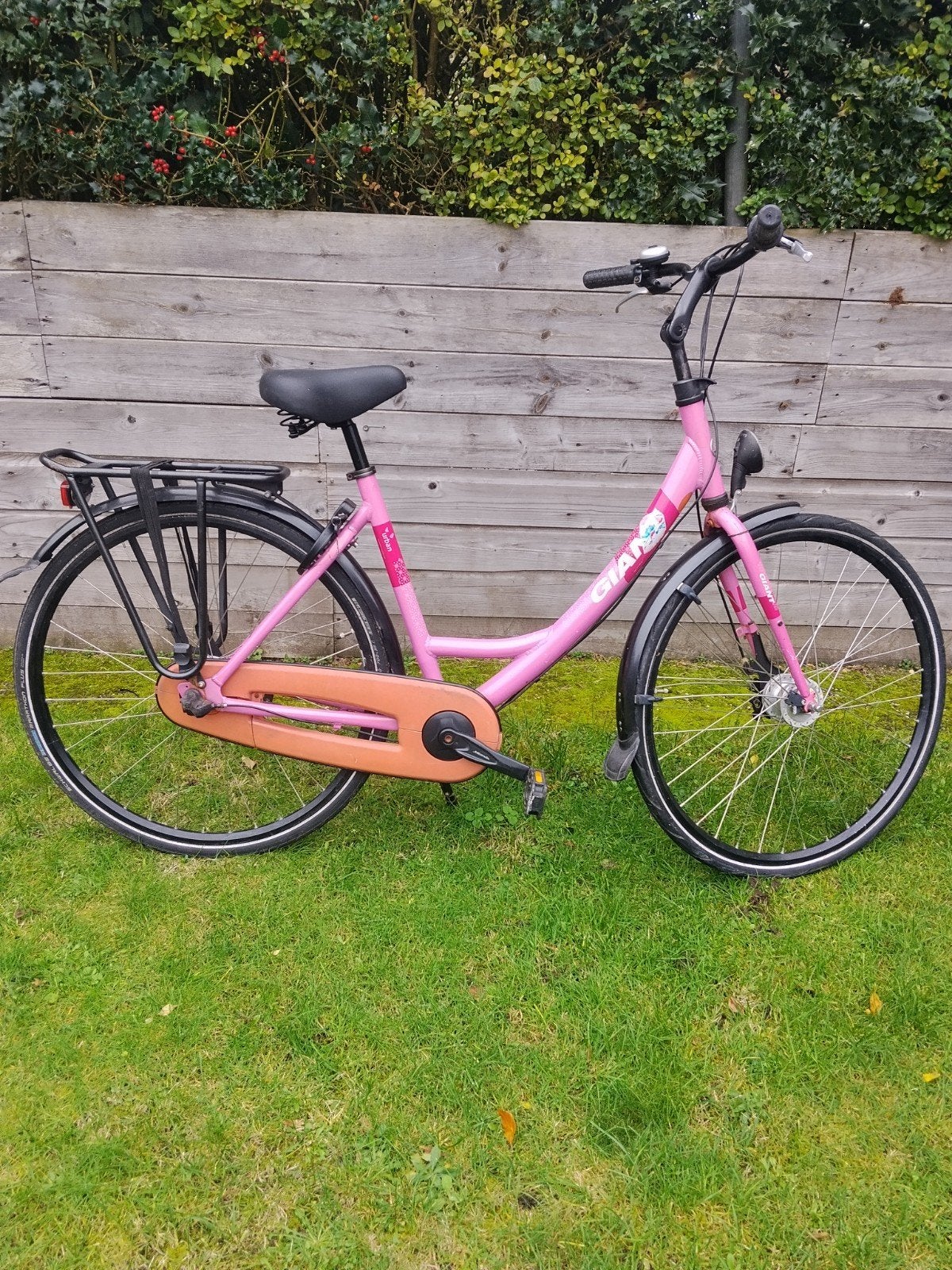 giant damesfiets, 50 tot 53 cm, Ophalen of Verzenden, Gebruikt, Giant