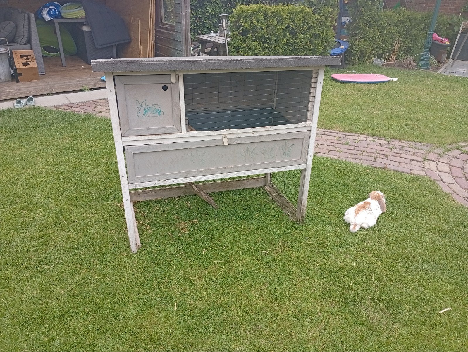 Konijnenhok gratis afhalen, Dieren en Toebehoren, Ophalen, Overige typen