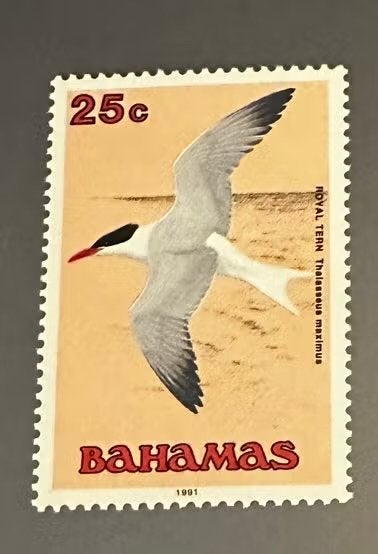 Bahamas 1991 postfris  - Koninklijke Stern vogels, Ophalen of Verzenden, Postfris