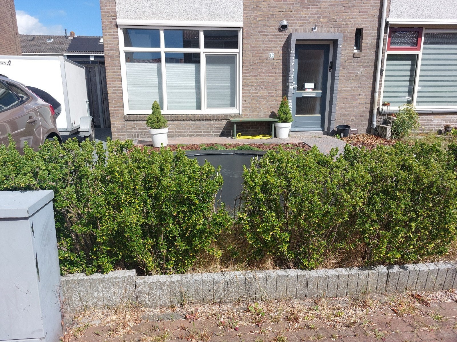 Struiken ophalen t.e.a.b, Tuin en Terras, Planten | Struiken en Hagen, Ophalen, Hulst, Struik, Minder dan 100 cm