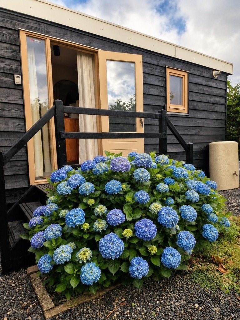 Onthaasten aan de Waddenzee, Huizen en Kamers, Recreatiewoningen te koop, 40 m², 2 slaapkamers, Noord-Holland, Verkoop zonder makelaar